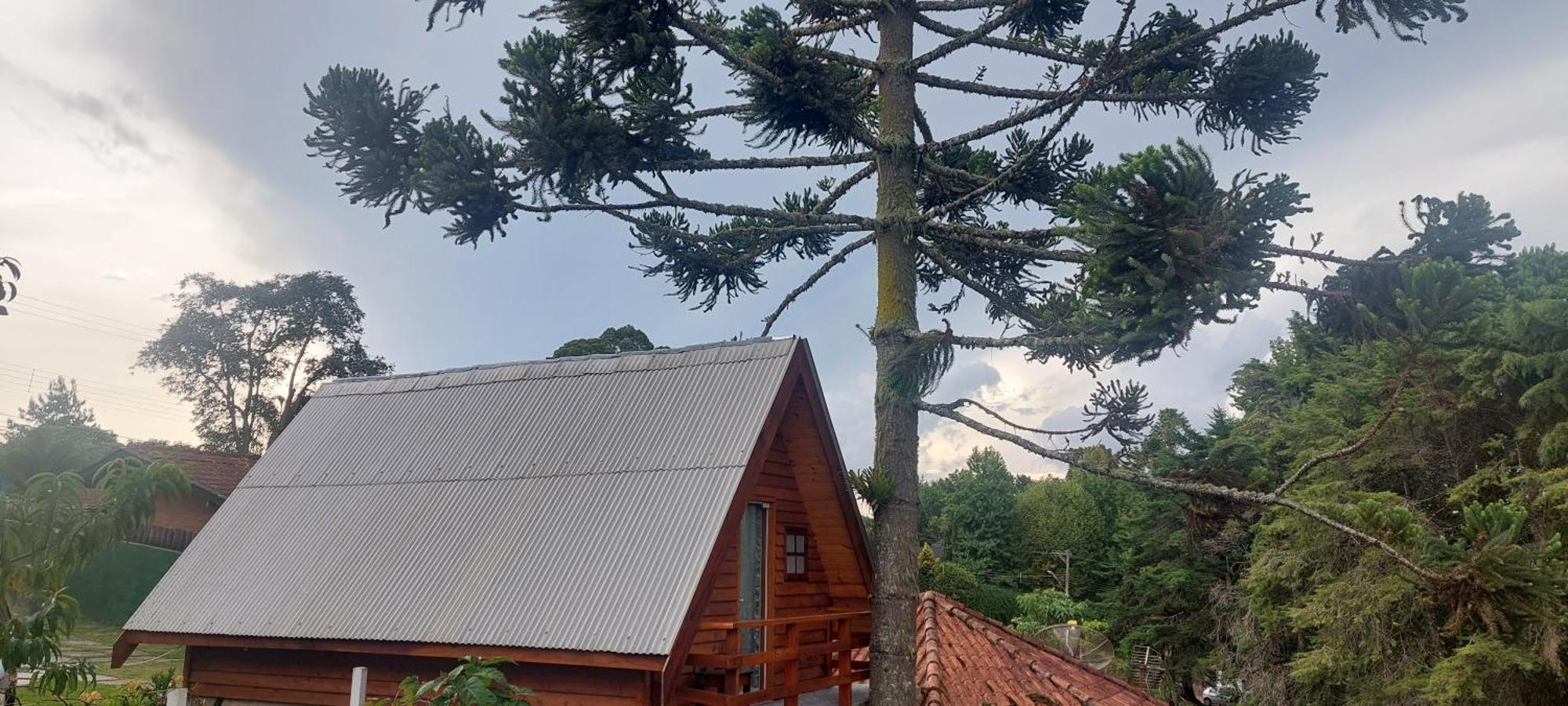 Hotel Chale Com Hidromassagem Da Vick Campos do Jordão Exterior foto
